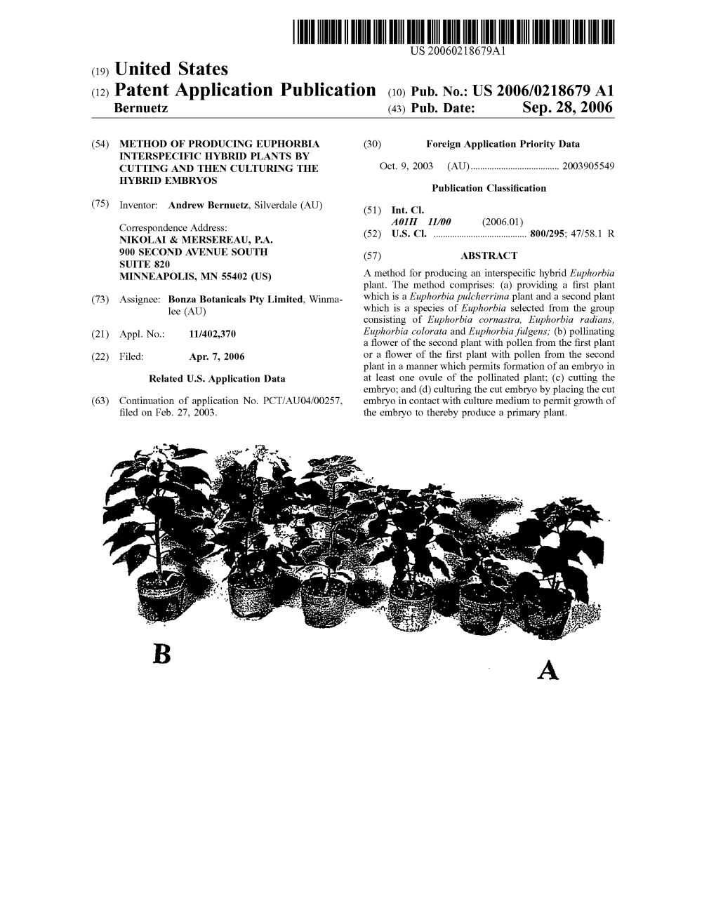 (12) Patent Application Publication (10) Pub. No.: US 2006/0218679 A1 Bernuetz (43) Pub