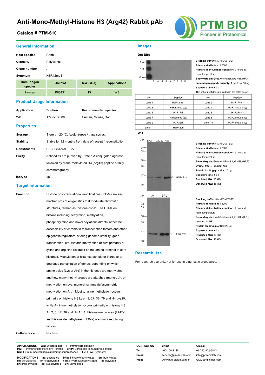 Anti-Mono-Methyl-Histone H3 (Arg42) Rabbit Pab