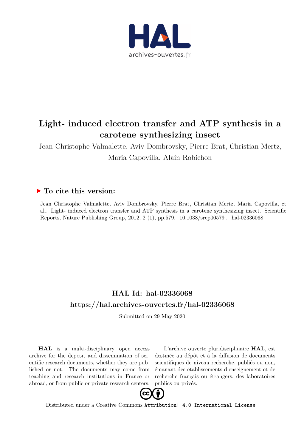 Light- Induced Electron Transfer and ATP Synthesis in a Carotene Synthesizing Insect