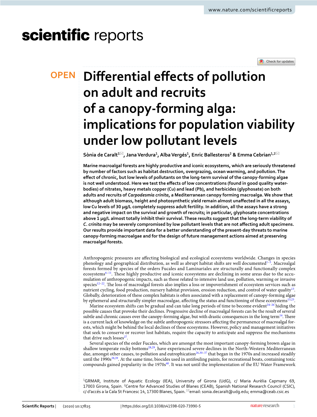 Differential Effects of Pollution on Adult and Recruits of a Canopy-Forming Alga