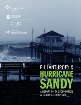 Philanthropy & Hurricane Sandy