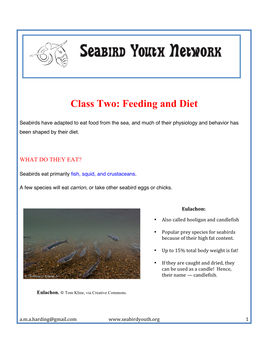 Class Two: Feeding and Diet