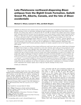 Late Pleistocene Northward-Dispersing Bison Antiquus from the Bighill Creek Formation, Gallelli Gravel Pit, Alberta, Canada, and the Fate of Bison Occidentalis