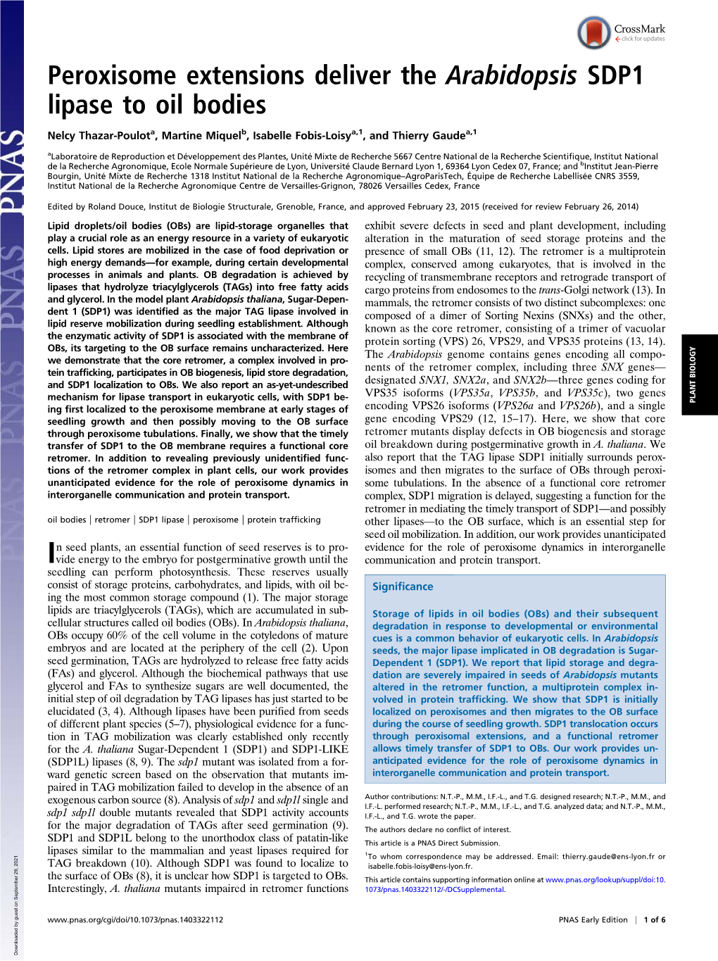 Peroxisome Extensions Deliver the Arabidopsis SDP1 Lipase to Oil Bodies