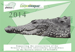 Supporting the Conservation of the Orinoco Crocodile ( Crocodylus Intermedius ) in the Eastern Llanos of Colombia JANUARY 2014 Mon Tue Wed Thu Fri Sat Sun 1 2 3 4 5