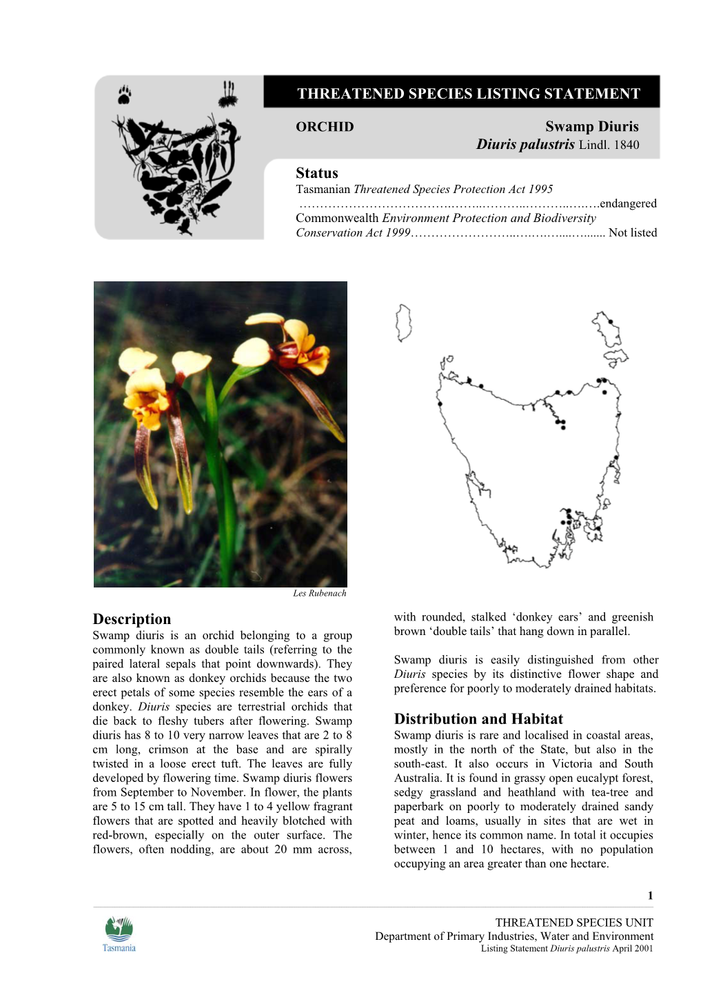 Threatened Species Listing Statement Swamp Diuris Diuris Palustris