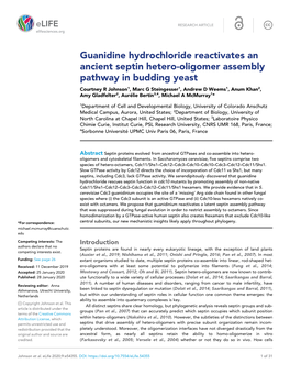 Guanidine Hydrochloride Reactivates an Ancient Septin Hetero-Oligomer