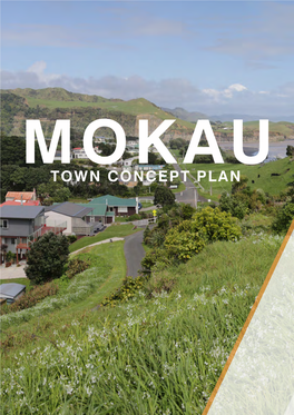 Town Concept Plan