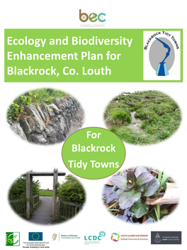 Ecology and Biodiversity Enhancement Plan for Blackrock, Co
