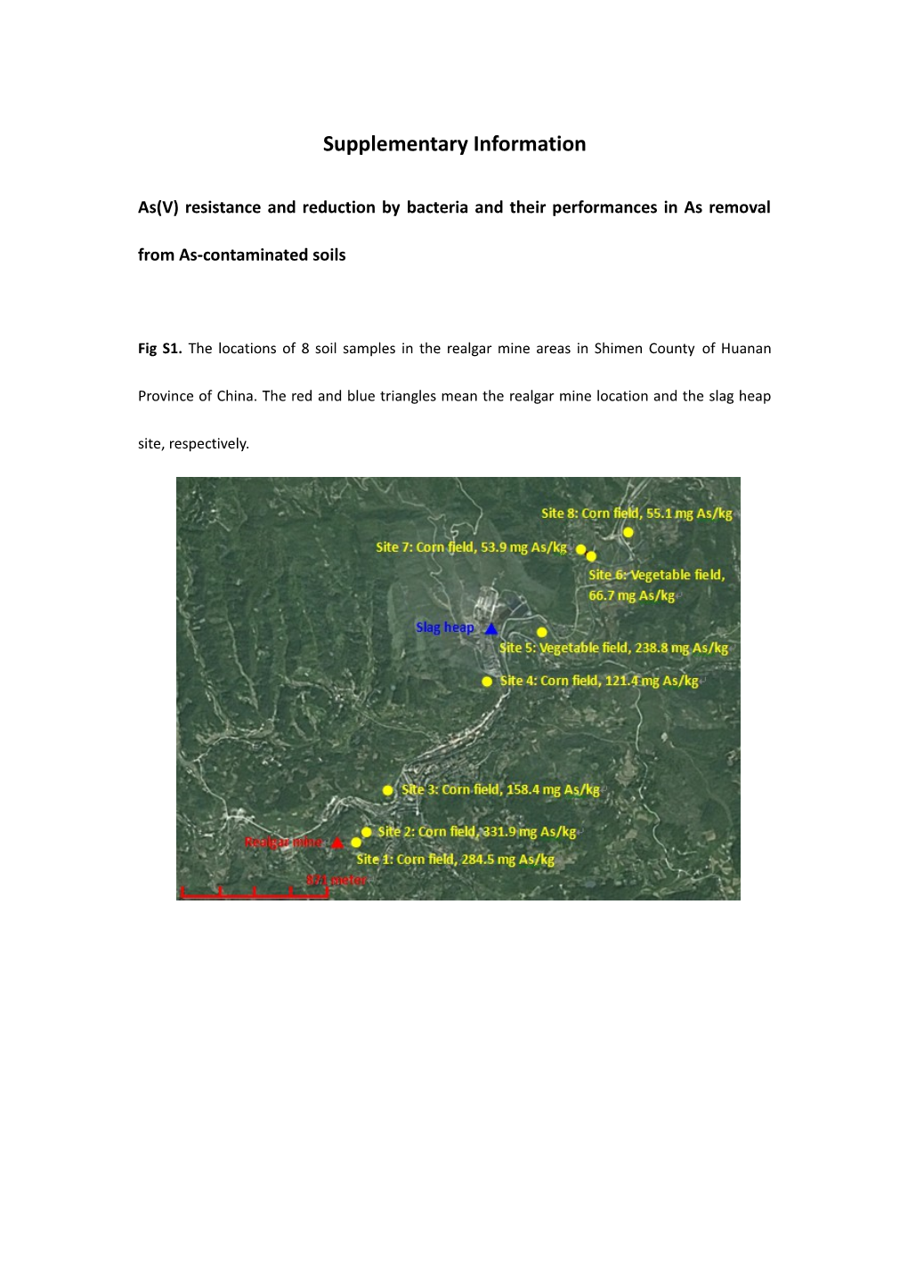 As(V) Resistance and Reduction by Bacteria and Their Performances in As Removal From