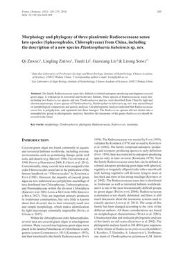 Morphology and Phylogeny of Three Planktonic Radiococcaceae Sensu