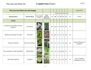 The Low Line Plant List a Capital Trees Project 8/12/17