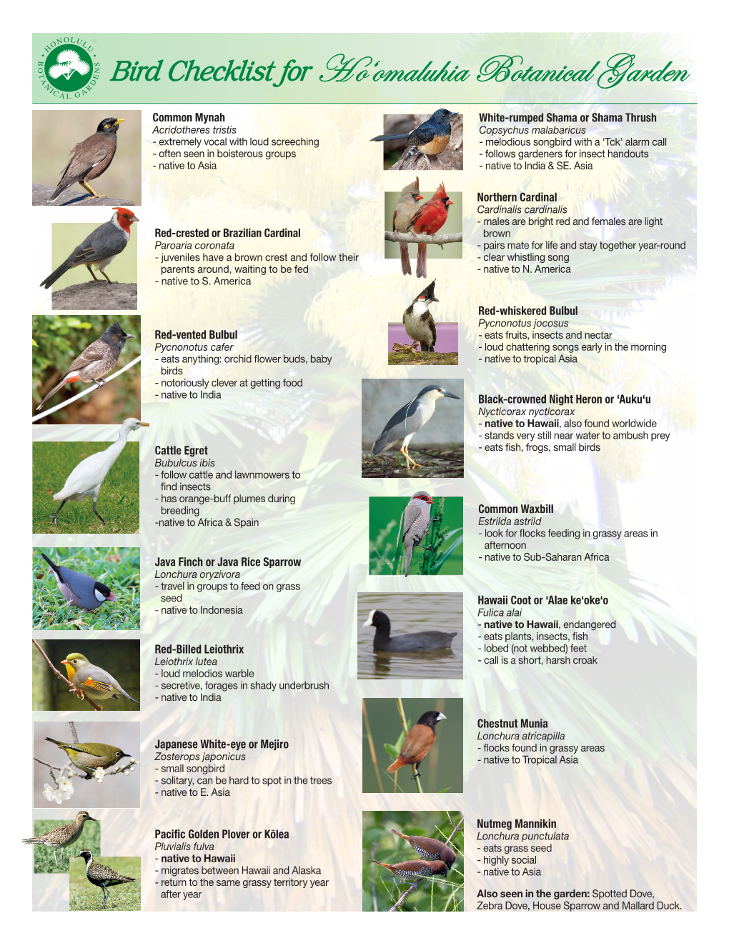Bird Checklist for H O'omaluhia Botanical Garden