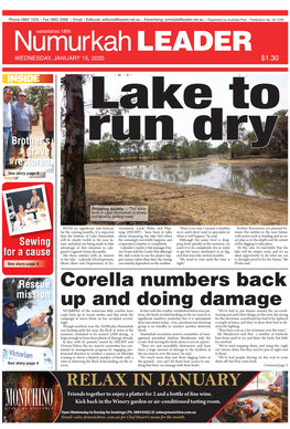 Corella Numbers Back up and Doing Damage from Page 1