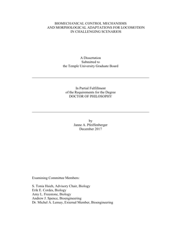 BIOMECHANICAL CONTROL MECHANISMS and MORPHOLOGICAL ADAPTATIONS for LOCOMOTION in CHALLENGING SCENARIOS a Dissertation Submitte