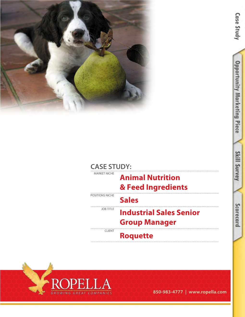 Animal Nutrition & Feed Ingredients Sales Industrial Sales Senior Group