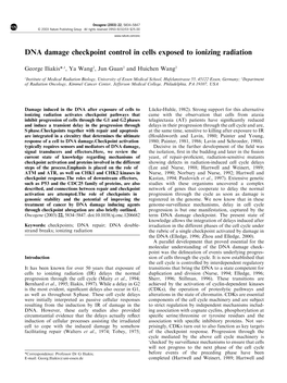 DNA Damage Checkpoint Control in Cells Exposed to Ionizing Radiation