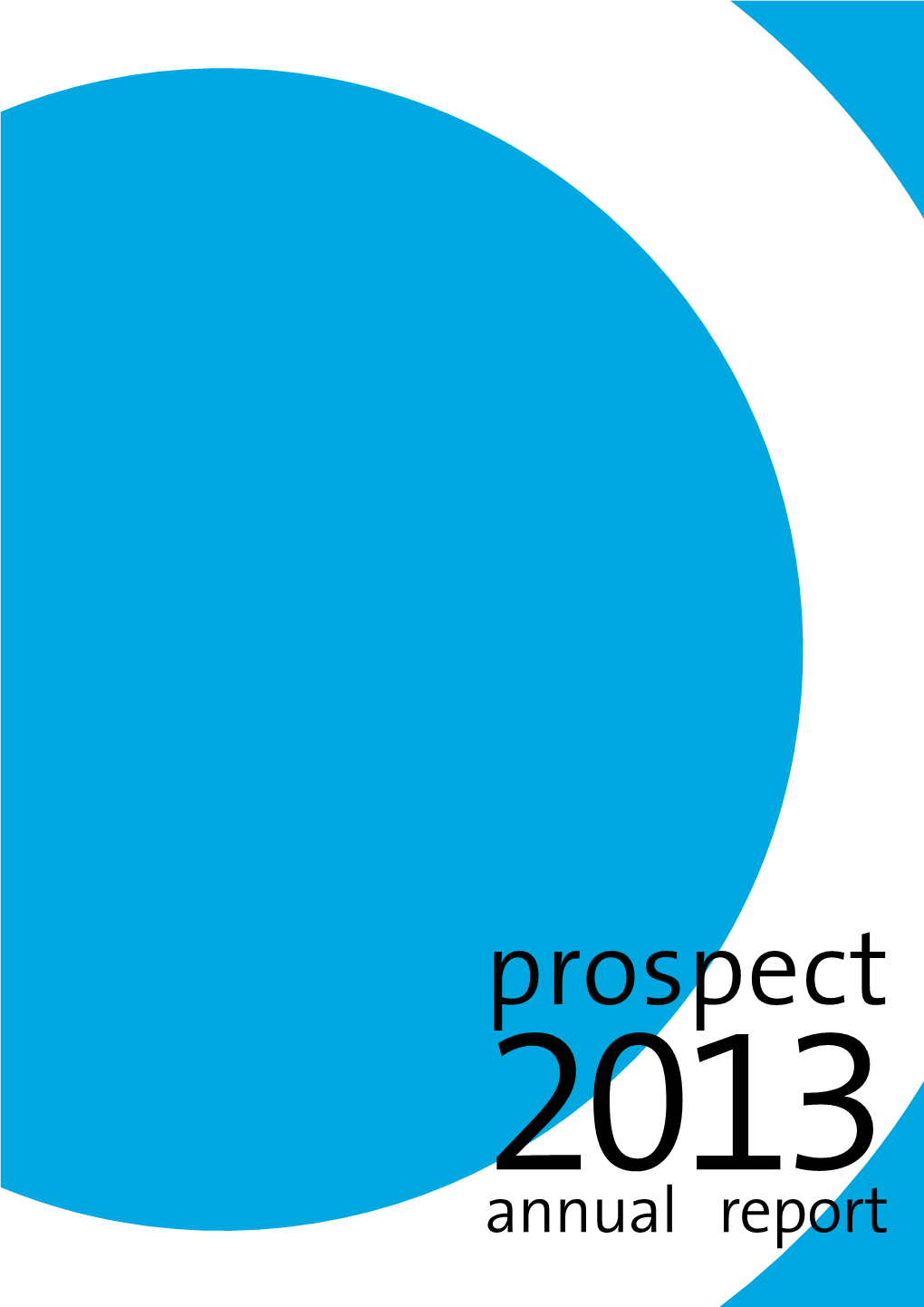 Annual Report 2013