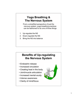 Month 4 Breathing & Nervous System