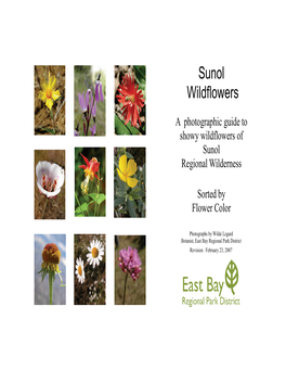 Sunol Wildflower Guide