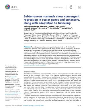 Subterranean Mammals Show Convergent Regression in Ocular Genes and Enhancers, Along with Adaptation to Tunneling