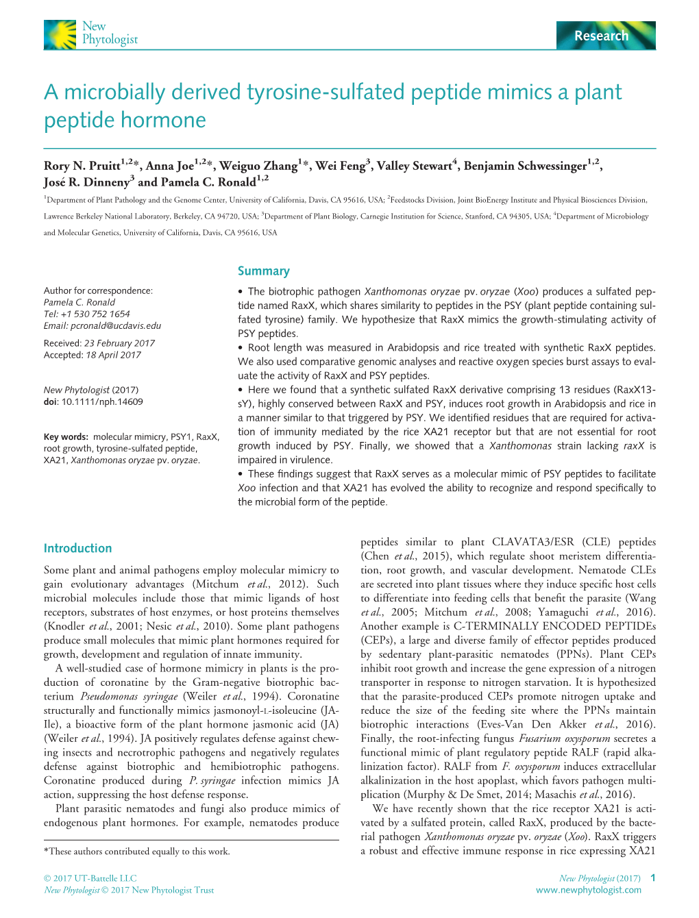 Sulfated Peptide Mimics a Plant Peptide Hormone