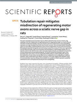Tubulation Repair Mitigates Misdirection of Regenerating Motor