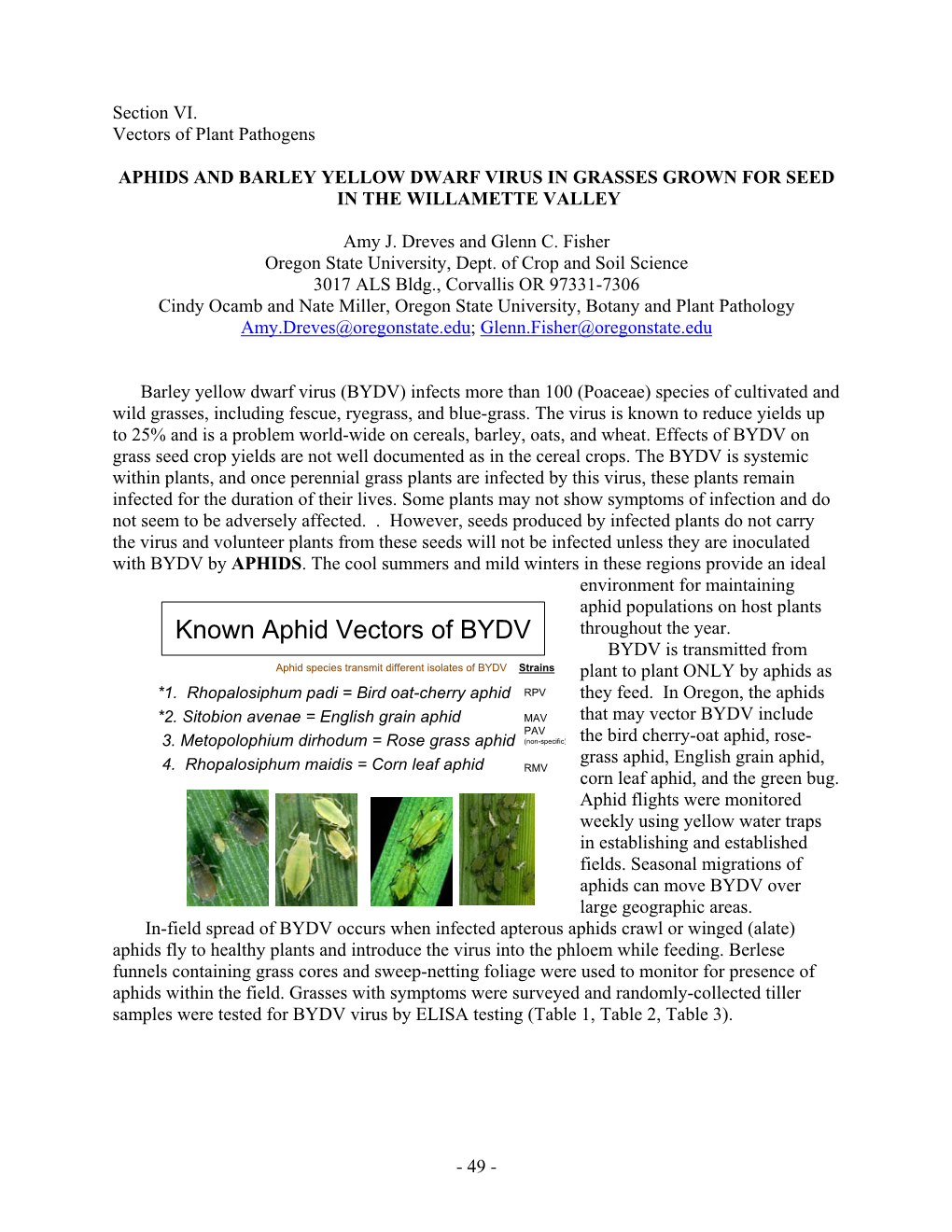 Known Aphid Vectors of BYDV Throughout the Year