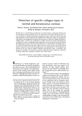 Detection of Specific Collagen Types in Normal and Keratoconus Corneas