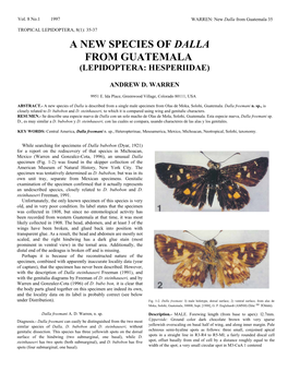 A New Species of Dalla from Guatemala (Lepidoptera: Hesperiidae)
