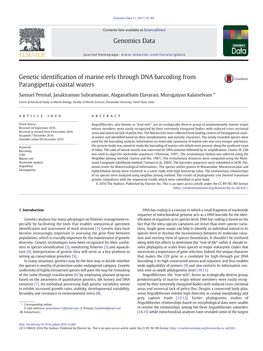 Genetic Identification of Marine Eels Through DNA Barcoding From