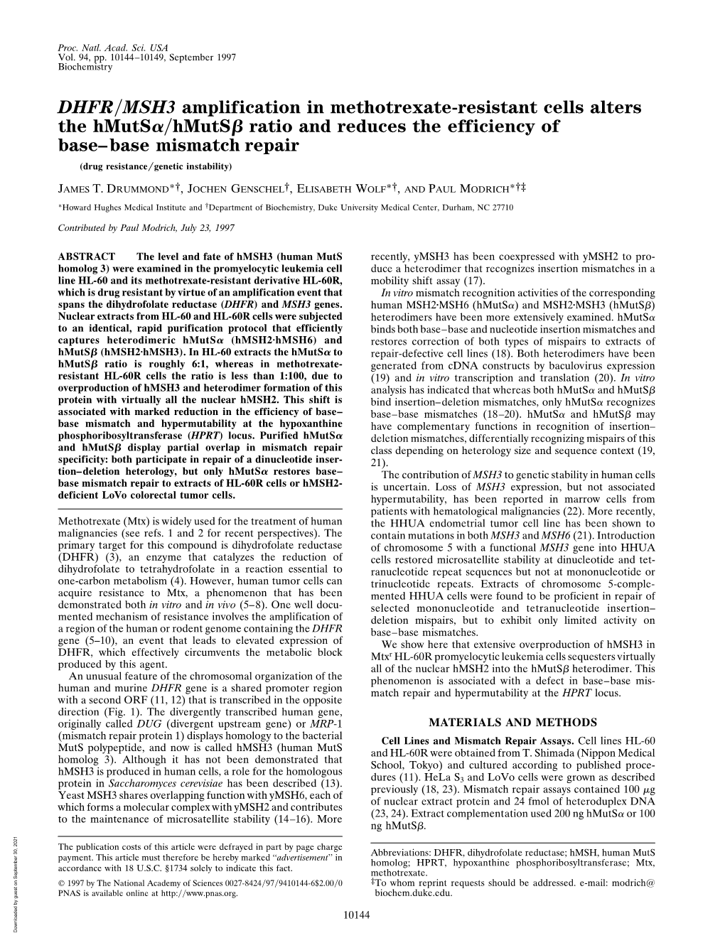 DHFR/MSH3 Amplification in Methotrexate-Resistant Cells Alters