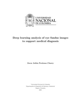 Deep Learning Analysis of Eye Fundus Images to Support Medical Diagnosis