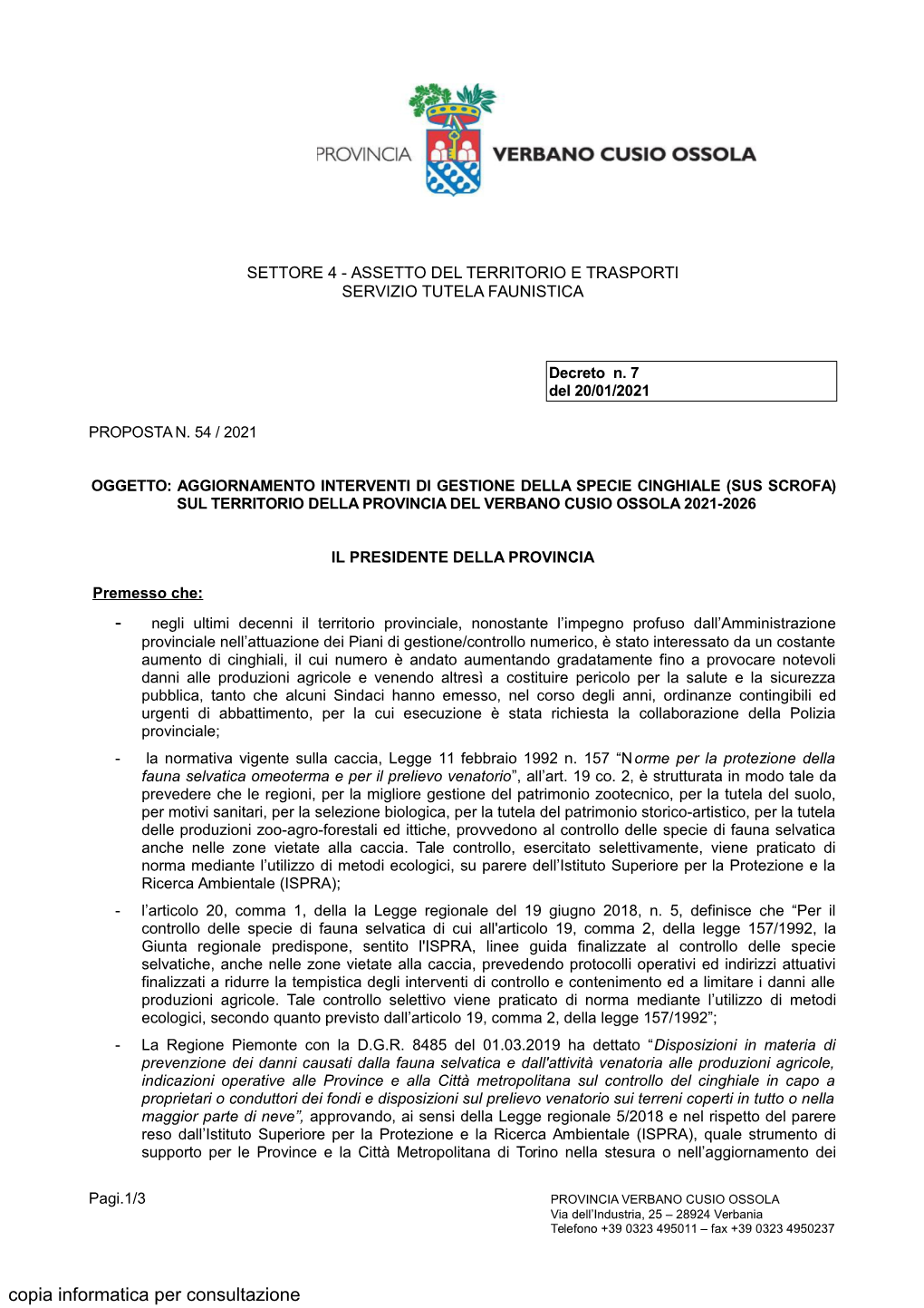 Copia Informatica Per Consultazione