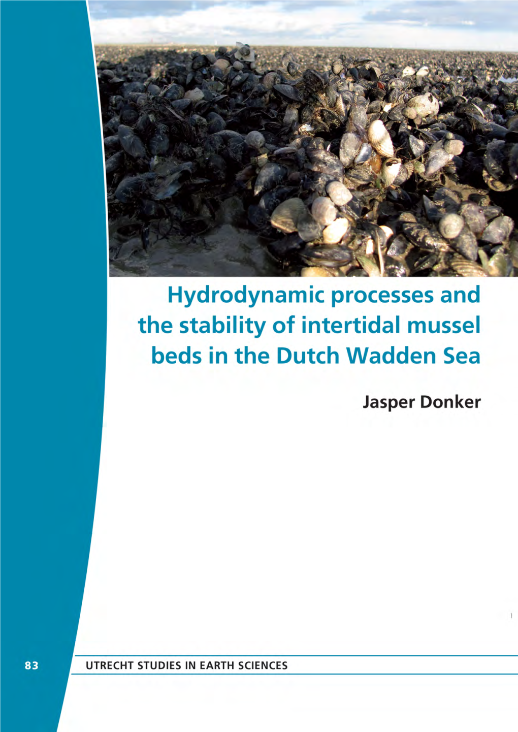 Hydrodynamic Processes and the Stability of Intertidal Mussel Beds in the Dutch Wadden Sea