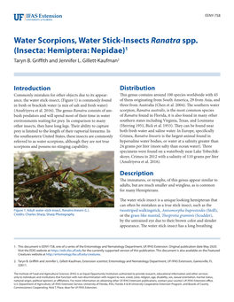 Water Scorpions, Water Stick-Insects Ranatra Spp. (Insecta: Hemiptera: Nepidae)1 Taryn B