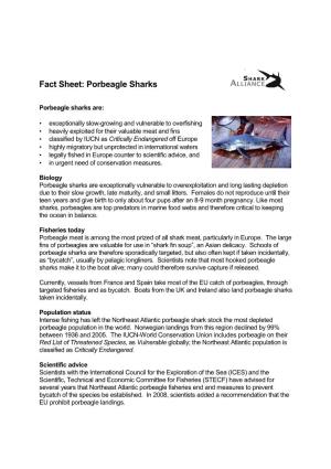 Porbeagle TAC Fact Sheet 2008