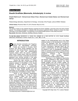 Siwalik Giraffidae (Mammalia, Artiodactyla): a Review