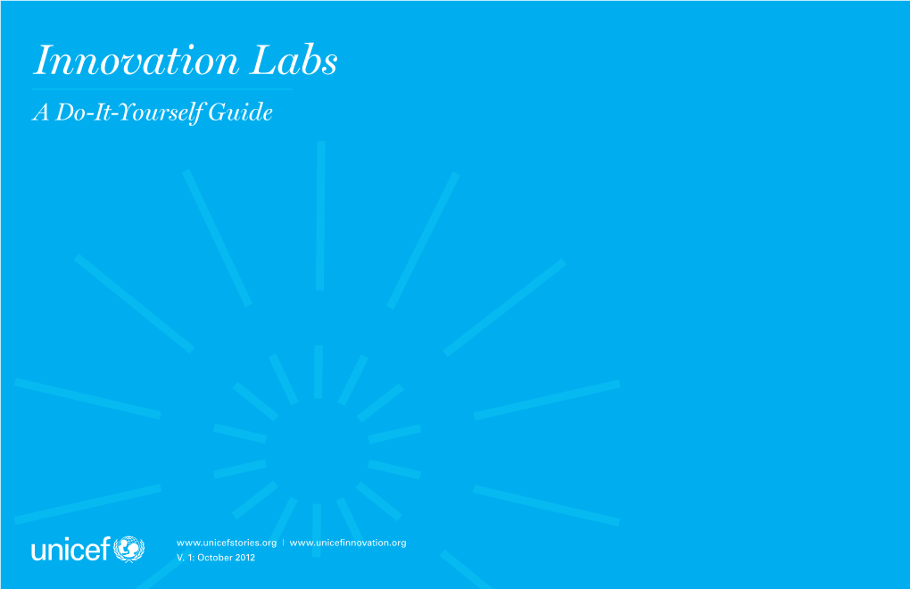 Innovation Labs a Do-It-Yourself Guide