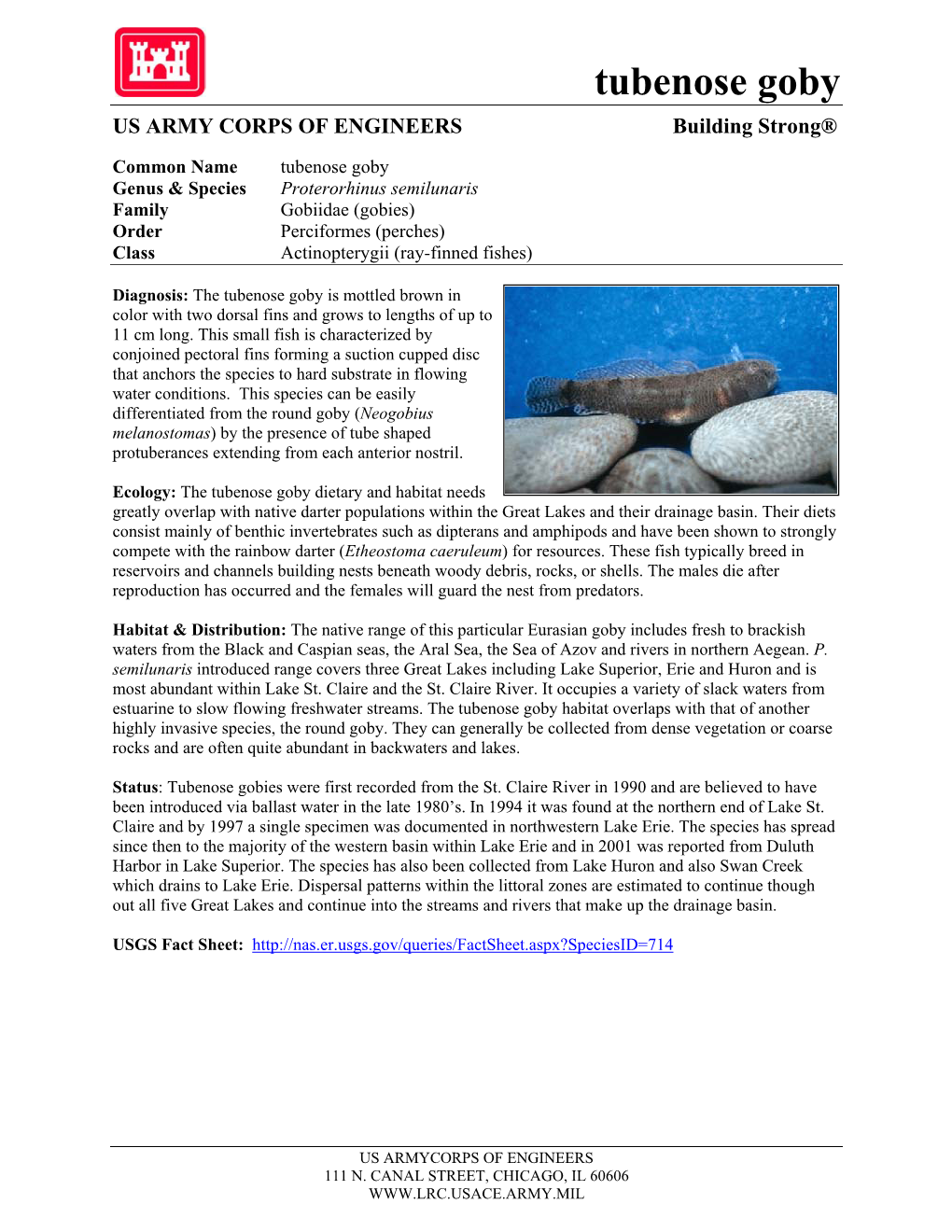 Tubenose Goby US ARMY CORPS of ENGINEERS Building Strong®