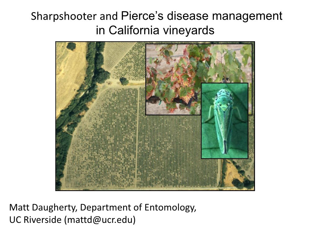 Sharpshooter and Pierce's Disease Management in California Vineyards