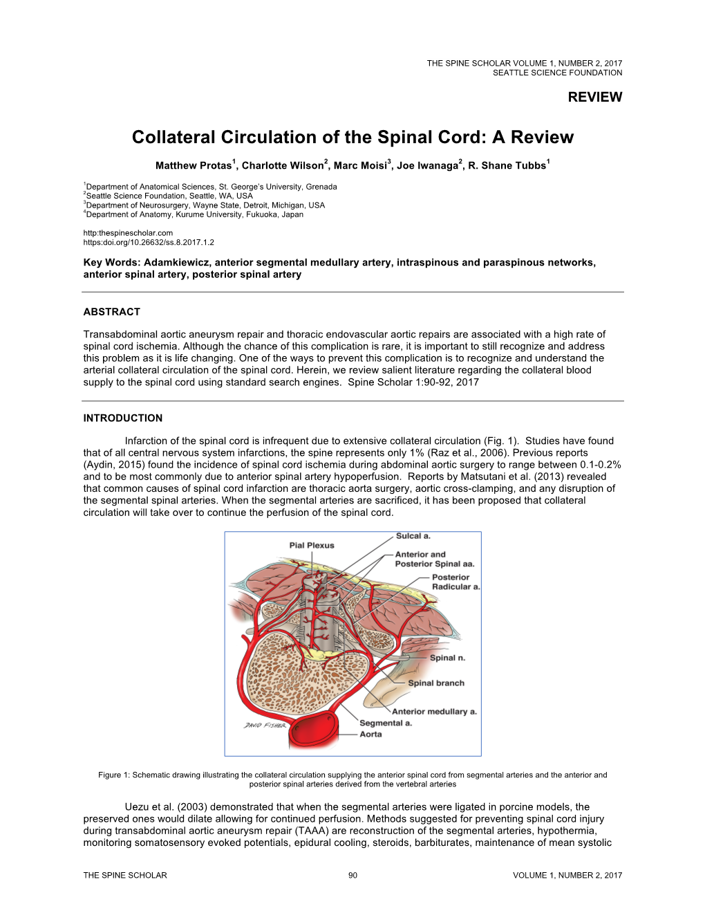 Collateral Circulation of the Spinal Cord: a Review