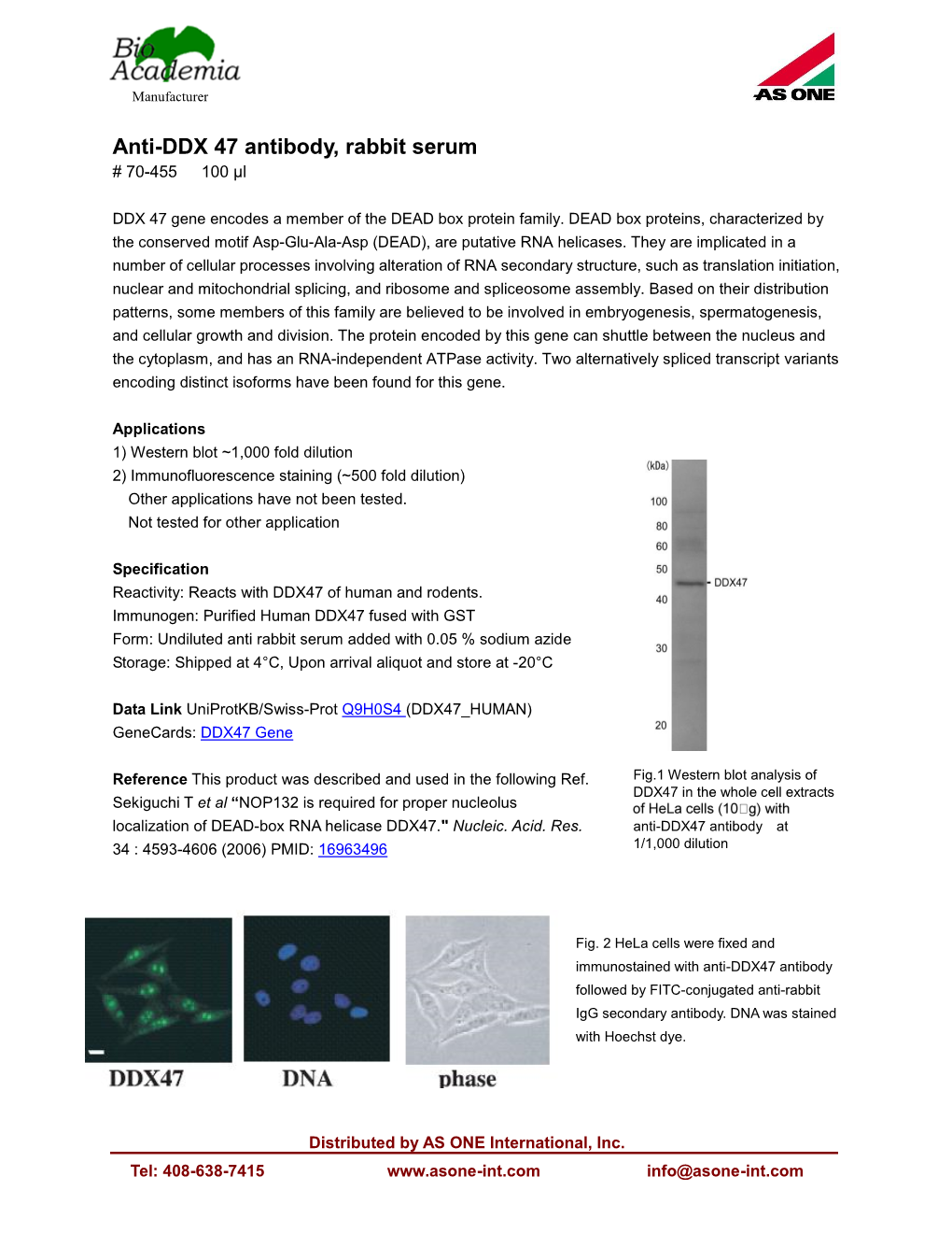 Anti-DDX 47 Antibody, Rabbit Serum # 70-455 100 Μl