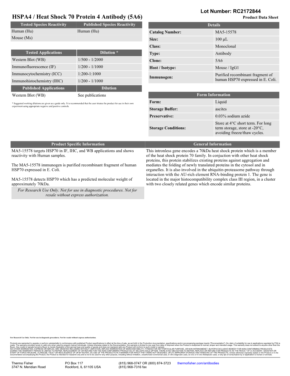 HSPA4 / Heat Shock 70 Protein 4 Antibody (5A6)