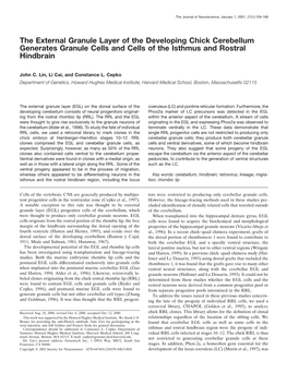 The External Granule Layer of the Developing Chick Cerebellum Generates Granule Cells and Cells of the Isthmus and Rostral Hindbrain