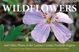 Wildflowers Guide Preview 2Nd Edition