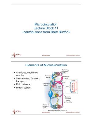 Elements of Microcirculation