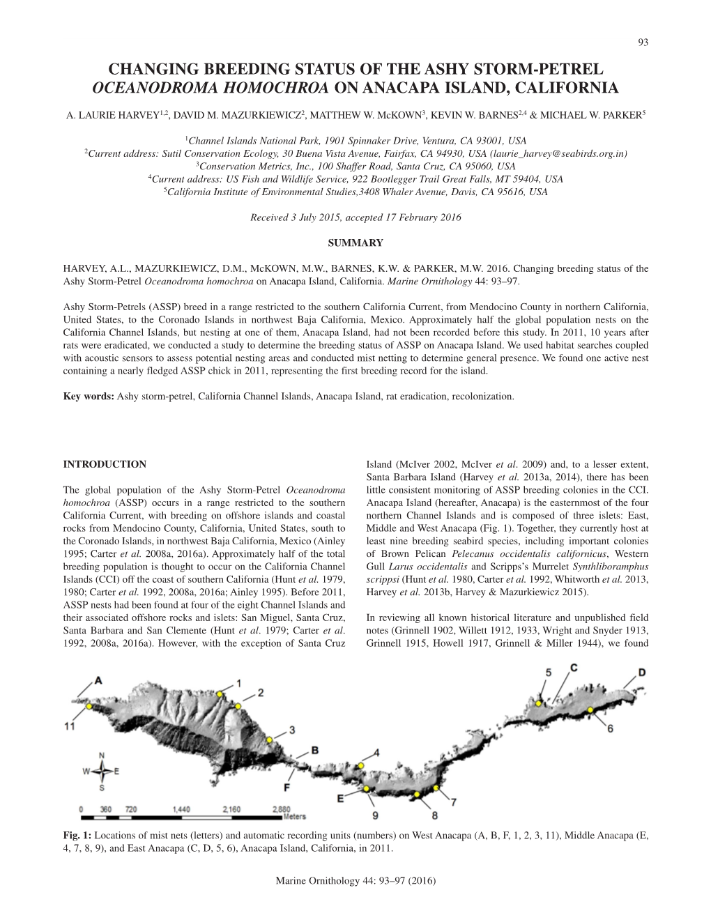 Changing Breeding Status of the Ashy Storm-Petrel Oceanodroma Homochroa on Anacapa Island, California