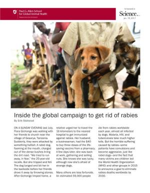 Inside the Global Campaign to Get Rid of Rabies by Erik Stokstad