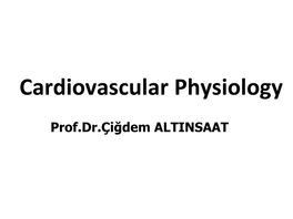 Cardiovascular Physiology